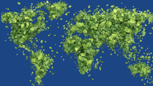 Biodiversidade